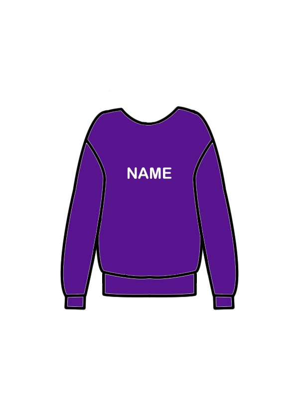 AERIAL NINJAS - SWEATSHIRT PURPLE (J) (IN-STOCK)
