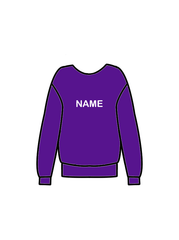 AERIAL NINJAS - SWEATSHIRT PURPLE (J) (IN-STOCK)