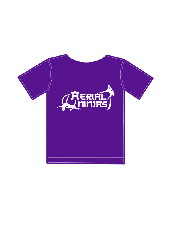 AERIAL NINJAS - T-SHIRT PURPLE (G) (IN-STOCK)