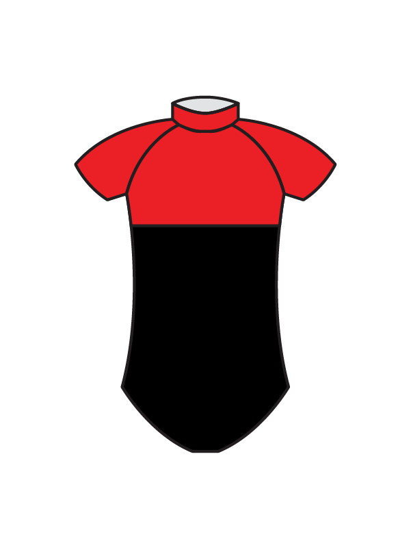ACADEMY OF EXPRESSIVE ARTS - BOYS REAR PANEL LEOTARD (BESPOKE)