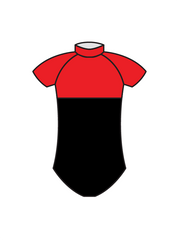ACADEMY OF EXPRESSIVE ARTS - BOYS REAR PANEL LEOTARD (BESPOKE)